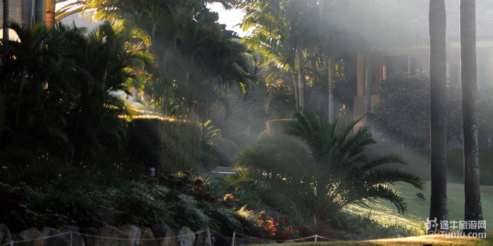 【澳大利亚旅游攻略收集】 景点篇--布里斯班_