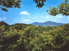 青山关图片