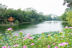 相思湖图片
