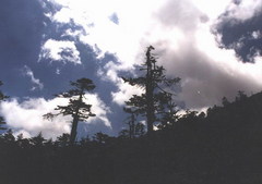 螺髻山图片