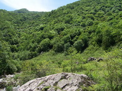 秦岭云横图片