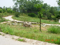 DSCN2809