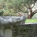 明孝陵