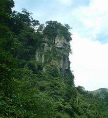 良凤江国家森林公园图片