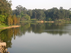 麓湖公园图片