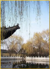 珍珠泉图片
