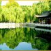 珍珠泉
