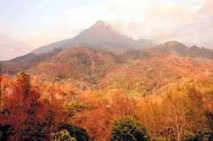 五指山图片