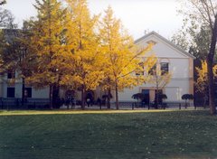 北京科技大学图片