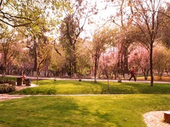 云南大学图片