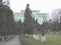 贵州大学图片