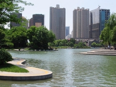 湖滨公园图片