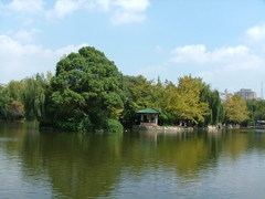 翠湖公园图片