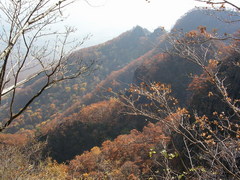 拉法山国家森林公园图片