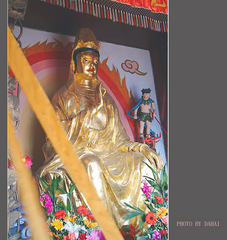 西沽潮音寺图片