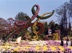 青岛中山公园图片