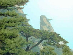 天烛峰图片