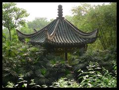 鹅岭公园图片