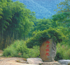 中国大竹海