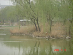 柳荫公园图片