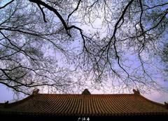广济寺图片