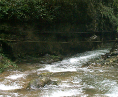 蛤蚌河原始生态游风景区图片
