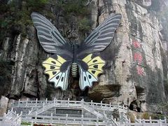 蝴蝶泉图片