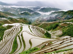 龙脊梯田图片