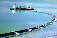 盐海玉波图片