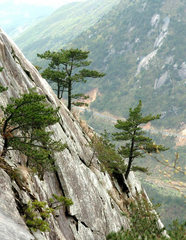 麻城龟山图片