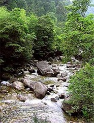 溪源峡谷