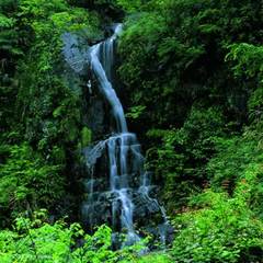 黄岩峡谷图片