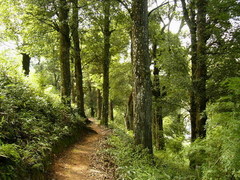 茫荡山