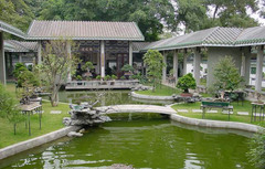 兰圃