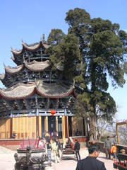 泸山图片