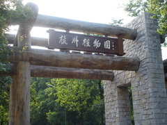 杭州植物园图片