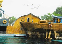 老虎滩海洋公园 20050118101923