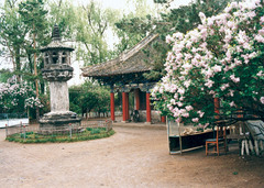 兴隆寺图片