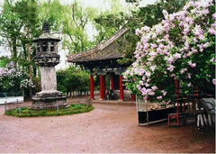 渤海国图片