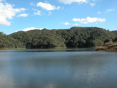 杜鹃湖图片