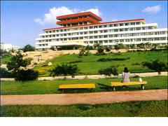 青岛大学图片