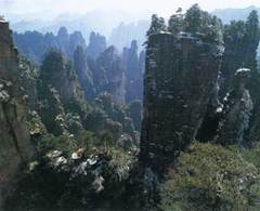 神塘湾图片