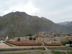 DSC00252