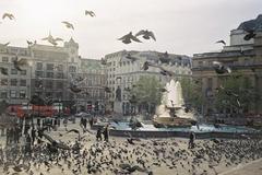 特拉法尔加广场 England-London-Trafalgar-Square-pigeons-fountain-1-MY