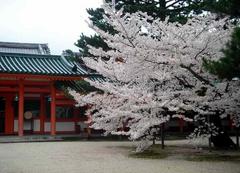平安神宫 平安神宫32