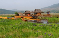 北海湿地图片