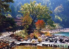 林坑古村图片