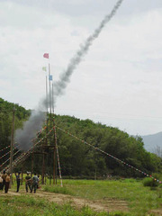 勐养图片