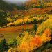 西藏 昌都 红拉山