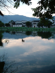 DSCF0222